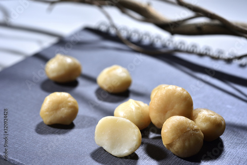 Close up of macadamia on the notebook