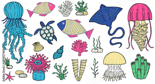 vector set of marine inhabitants - fish, jellyfish, stingray, turtle, corals, algae, sponges