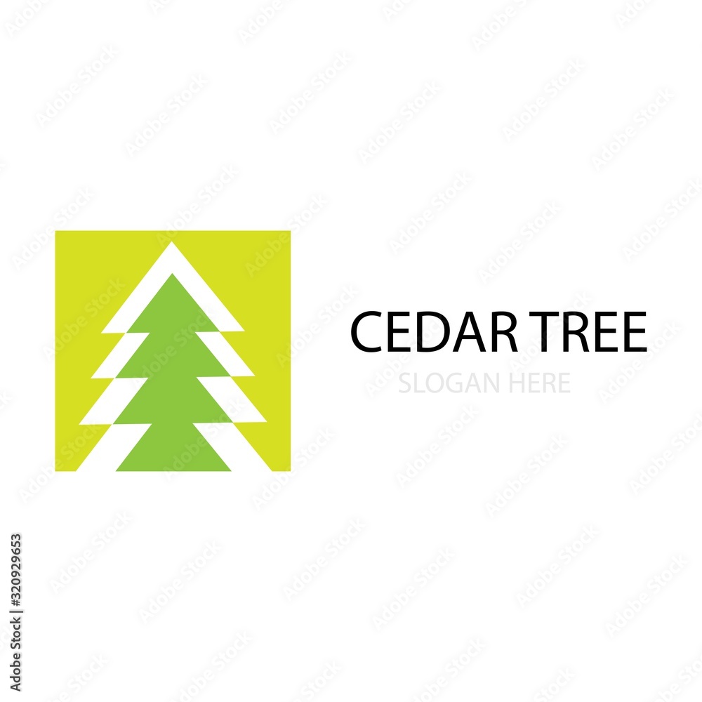 cedar tree logo vector cedar tree logo vector