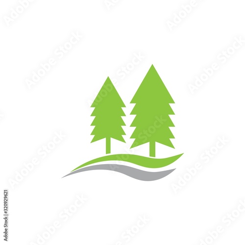 cedar tree logo vector