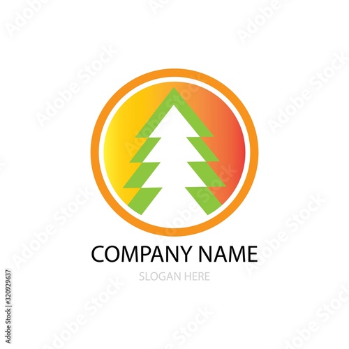 cedar tree logo vector