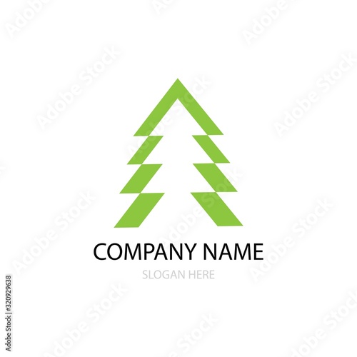 cedar tree logo vector
