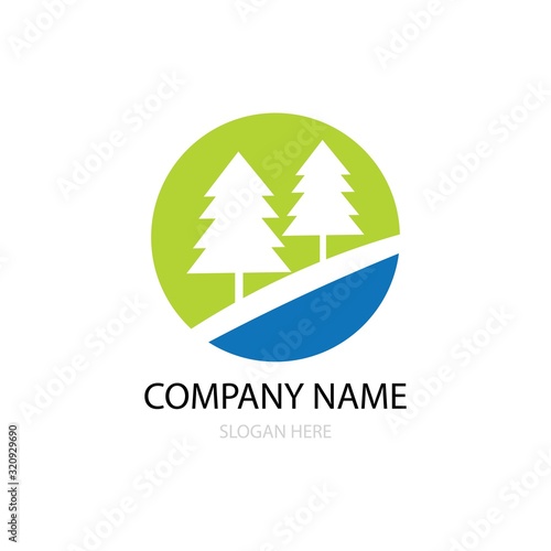 cedar tree logo vector