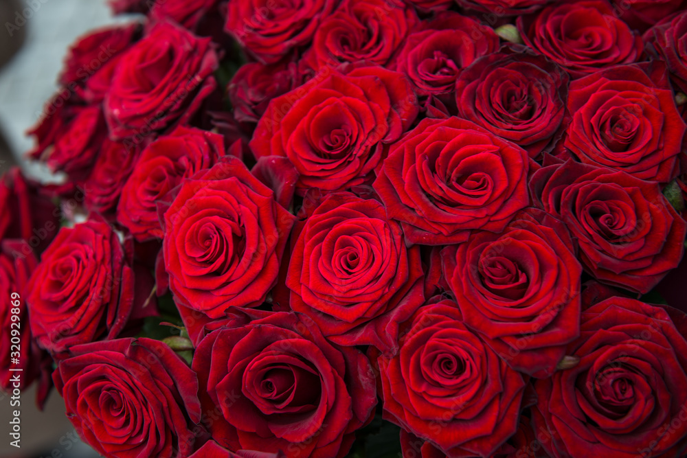 Red roses background. Bouquet for Valentine's Day. Close-up of a beautiful bouquet of red roses. Red roses background. Bouquet for Valentine's Day. Close-up of a beautiful bouquet of red roses.