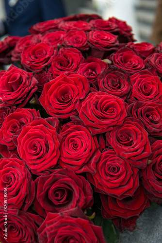 Red roses background. Bouquet for Valentine s Day. Close-up of a beautiful bouquet of red roses.