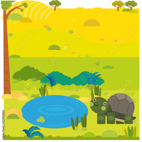 cartoon safari scene with wild animal turtle on the meadow illustration