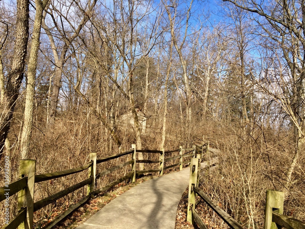 wooden fence in the forest