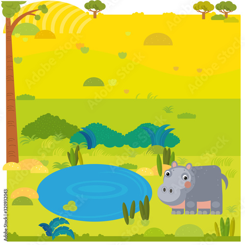 cartoon safari scene wild animal hippo hippopotamus on the meadow illustration