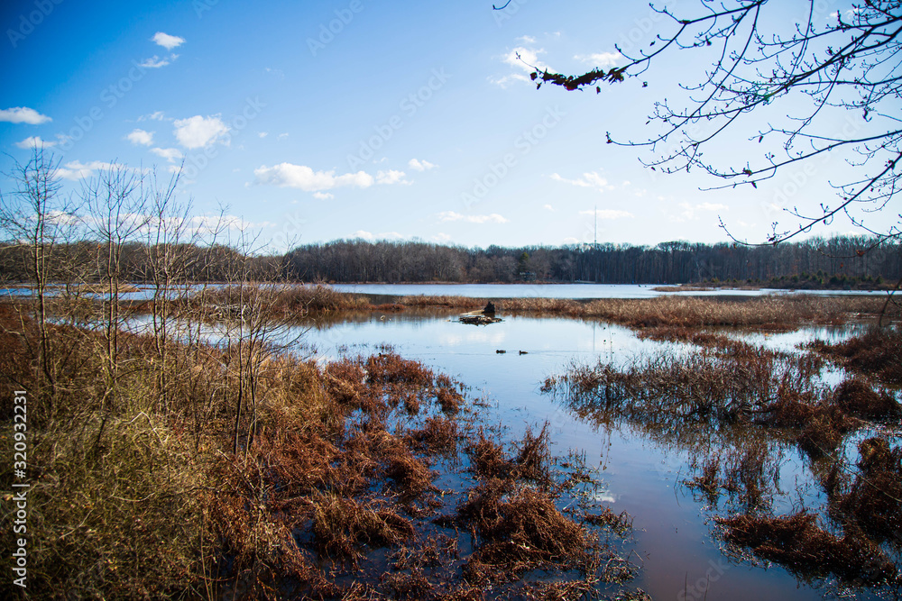 Fototapeta premium Lake