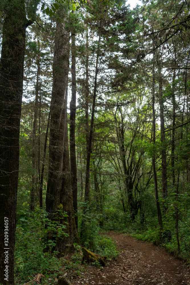 Fototapeta premium el terrero