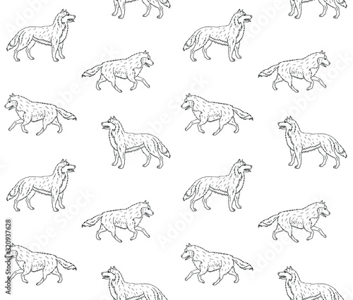 Vector seamless pattern of hand drawn doodle sketch running husky dog isolated on white background