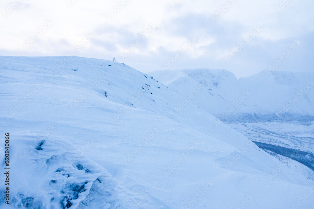 The snowy landscape. The view from the snowy peak of the mountains to the valley with bare trees