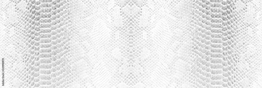 Naklejka Skin snake background White snake skin texture Close-up