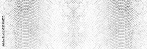 Naklejka Skin snake background White snake skin texture Close-up