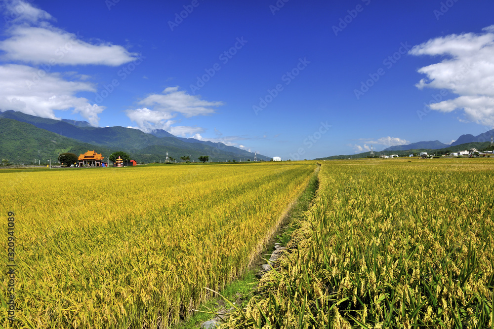 Farm against the blue sky and white cloud Farm against the blue sky and white cloud