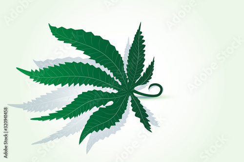 Cannabis marijuana leaf logo vector