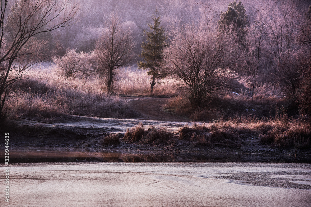 Beautiful nature scenes Beautiful nature scenes