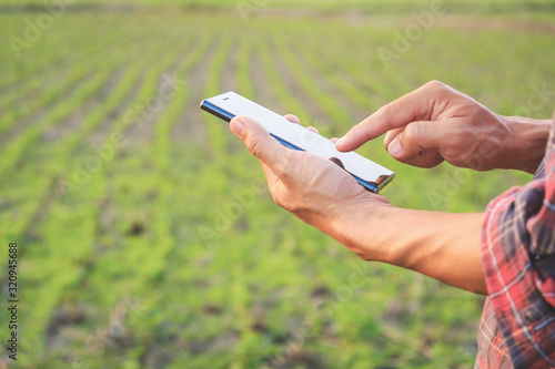 farmer using mobile checking report of soybeans  in farm with copy space