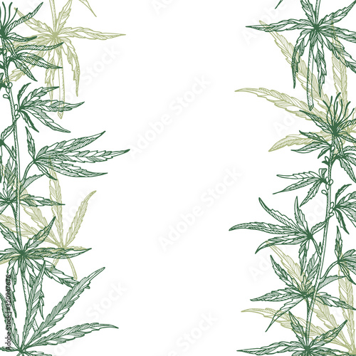 Frame of hemp plant leaves, branch and seeds. Organic product. Ink sketch of cannabis. Hand drawn graphic design.