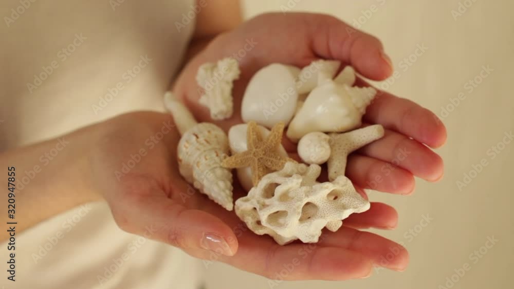 young woman holding sea shells and corals young woman holding sea shells and corals