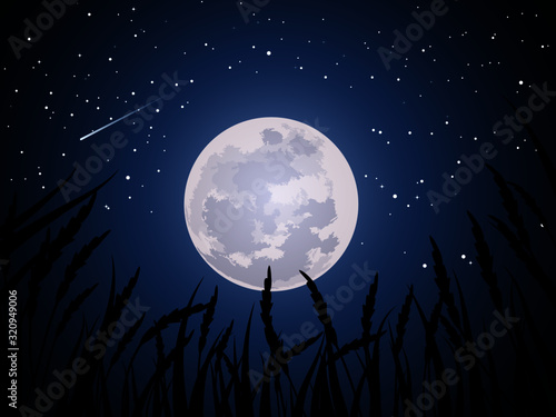 full moon in the sky