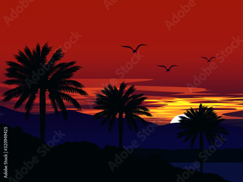 sunset on the beach © Johnster Designs
