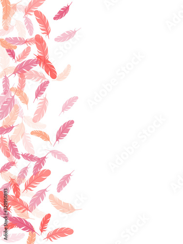 Detailed majestic feather on white design.