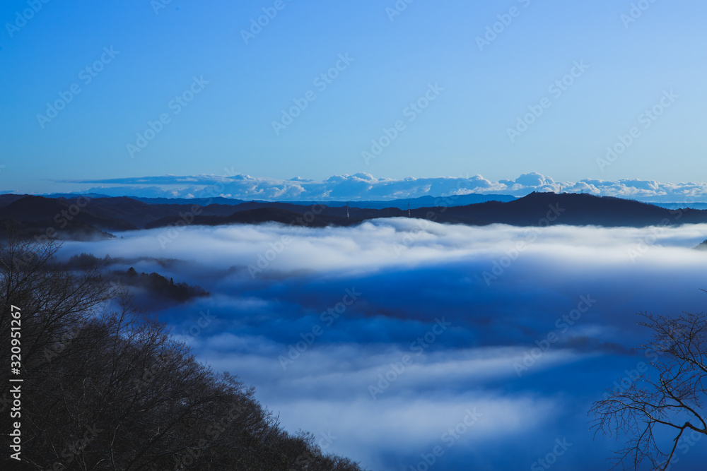 Obraz premium 雲海 イメージ