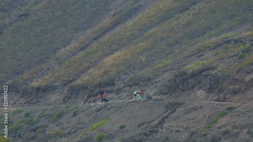 Indigenous women walks on dirt path with their donkey on the andean mountain.	