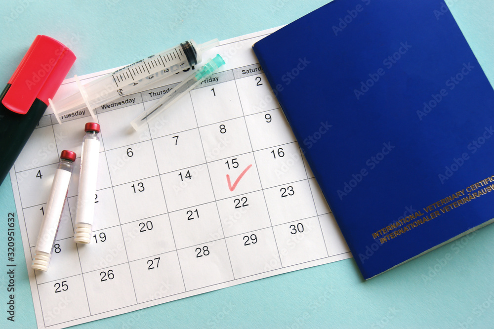 Fototapeta premium Blue International veterinary (pet) passport, syringe and ampoule with liquid on a light blue background.