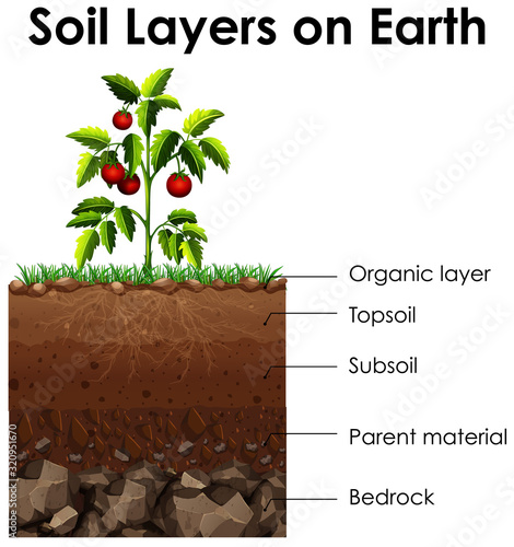 Diagram showing soil layers on earth