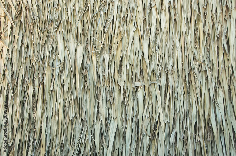 Close up of thatch roof background, Hay or dry grass background, Thatched roof. Close up of thatch roof background, Hay or dry grass background, Thatched roof.
