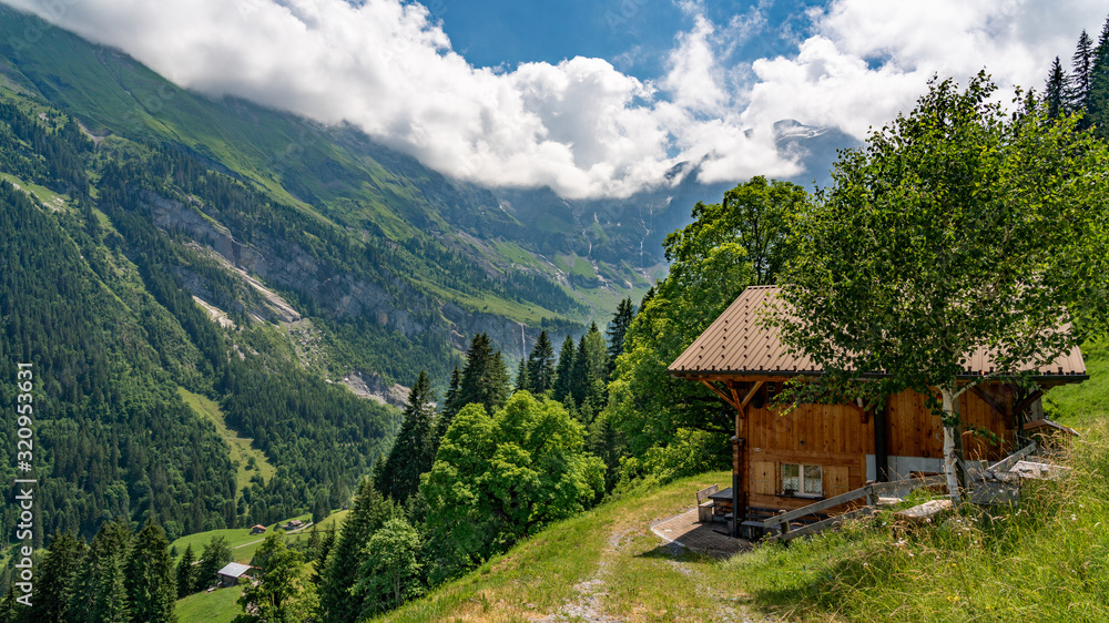 Switzerland, Panoramic view on green Alps near Schynige Platte, Saxeten Switzerland, Panoramic view on green Alps near Schynige Platte, Saxeten