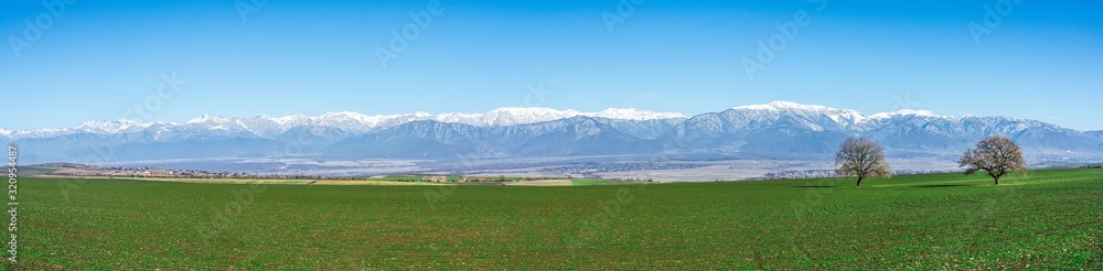 Wide view of green farm fields with seedlings on the background of the mountain range Wide view of green farm fields with seedlings on the background of the mountain range