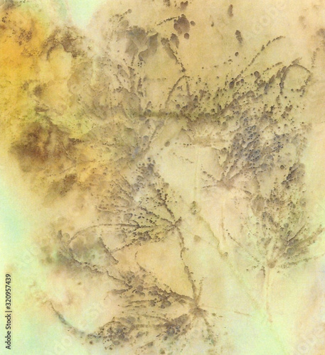 "Growing Color" - Eco Print from Nature - Natural Colors from Plants, Leaves and Flowers. This is an original image created by pressing & steaming plant materials onto specific papers & substrates.