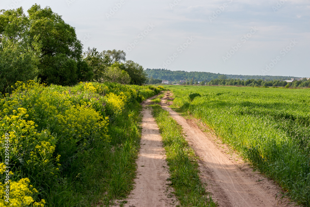 Rural dirt road stretching into the distance along a large agricultural field
