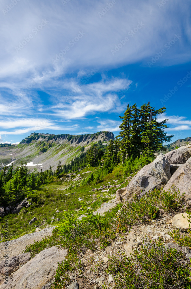 Beautiful Mountain Artist Ridge Trail Park. Mount Baker, Washington, USA.