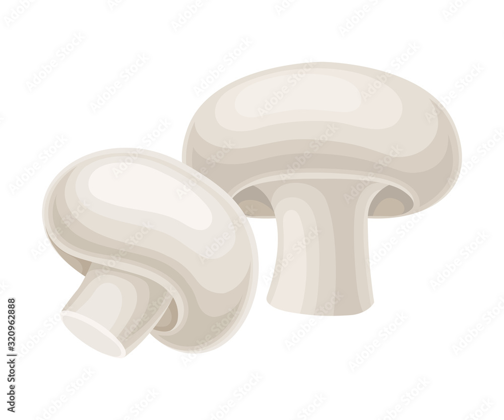 Raw Uncooked Champignons Isolated on White Background Vector Food Item Raw Uncooked Champignons Isolated on White Background Vector Food Item
