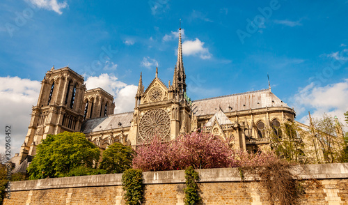 Paris Notre Dame Cathedral from Seine river during the spring
