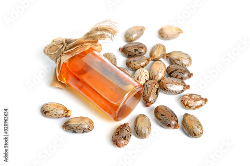 Tableau sur toile Seed of Ricinus communis, the castor bean or castor oil plant