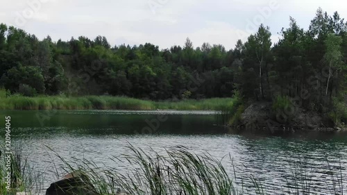 Low View of Beautiful Summer Lake With Grass in Foreground Surrounded by Forest Tracking Forward photo