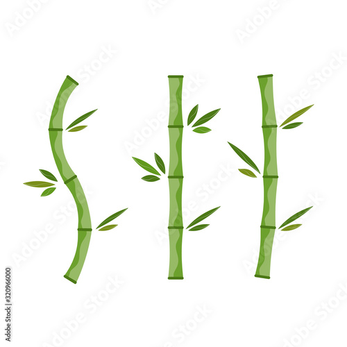 set of green bamboo branches and leaves. Vector illustration.