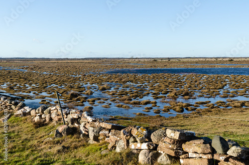 Wetland with grass tufts and a traditional dry stone wall