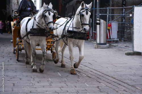 Old horse carriage in Salzburg, Austria