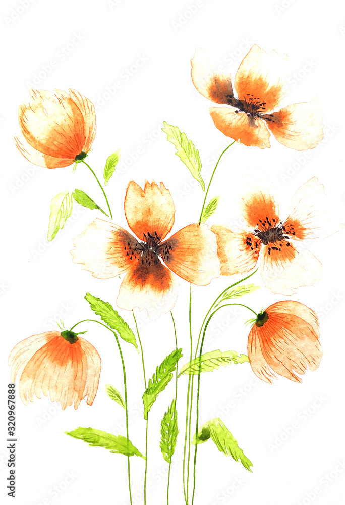 Watercolor light transparent set of orange flowers isolated on white background