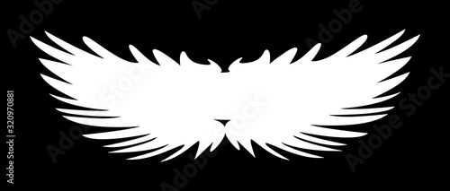 Angels Spread Wings