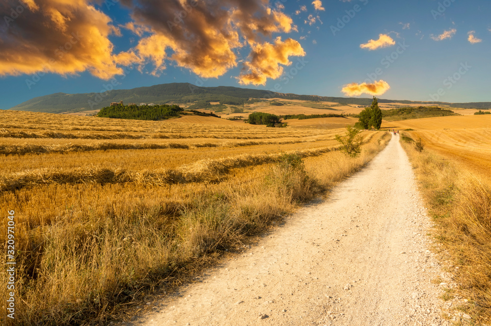 The road to Santiago as it passes through Navarra