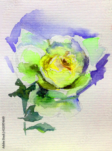 Abstract bright colored decorative background . Floral pattern handmade . Beautiful tender romantic spring single rose flower , made in the technique of watercolors from nature.