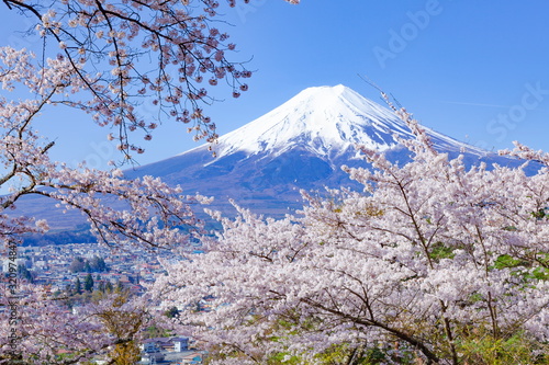 富士山と桜、山梨県富士吉田市孝徳公園にて