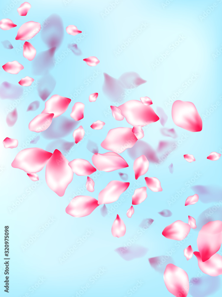 Pink sakura petals confetti flying and falling Pink sakura petals confetti flying and falling